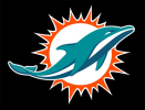 miami-dolphins-new-logo-768x587.png